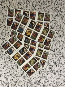 First-Class Rate 2020 U.S. STAMPS New Fruits & Vegetables 1 0 0pcs FREE SHIPPING (Option: W12327388)